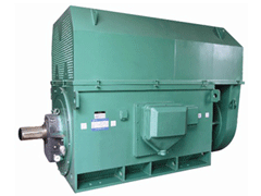 板桥镇Y系列6KV高压电机